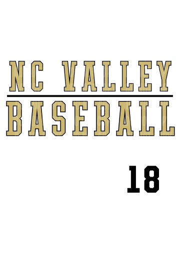 Design 18 - NC Valley Baseball Sand Gold | Adult